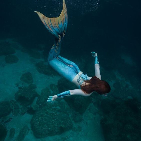 Хвост Дельфина Морская волна под водой