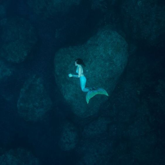 Хвост Дельфина Морская волна под водой_2
