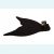 Хвост русалки Жарптица для плавания с рисунком + купальник